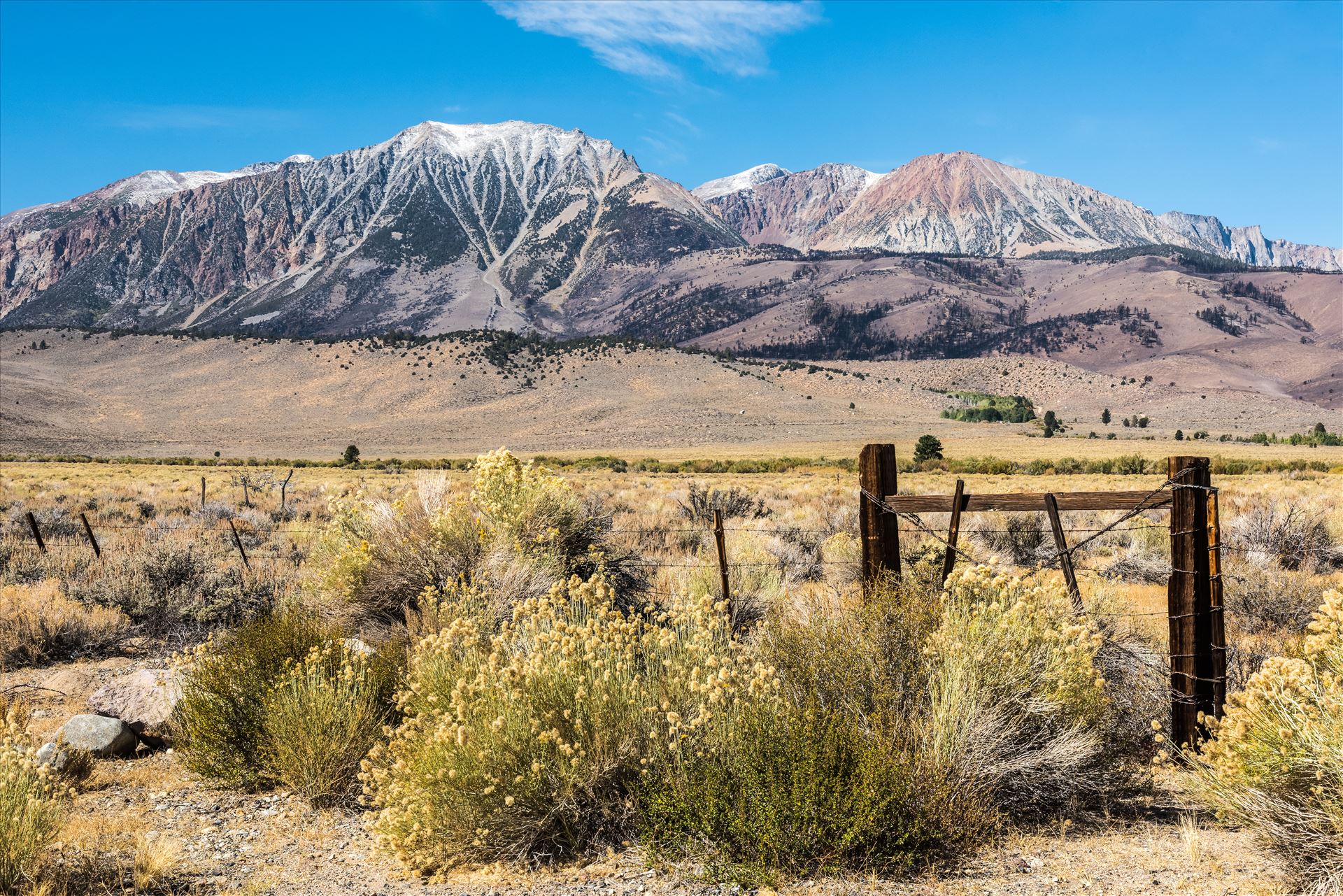 Eastern Sierra Scene -  by Dawn Jefferson