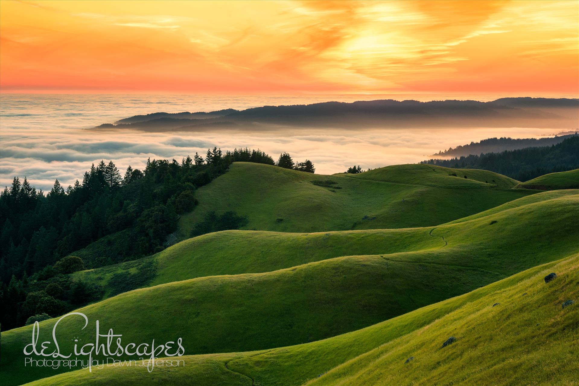 Spring Mountain Sunset - High above the fog and ocean. by Dawn Jefferson