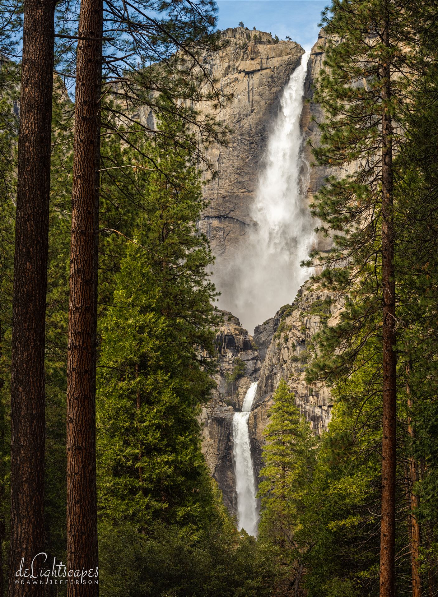 Yosemite Falls - Yosemite Falls in Yosemite National Park. by Dawn Jefferson