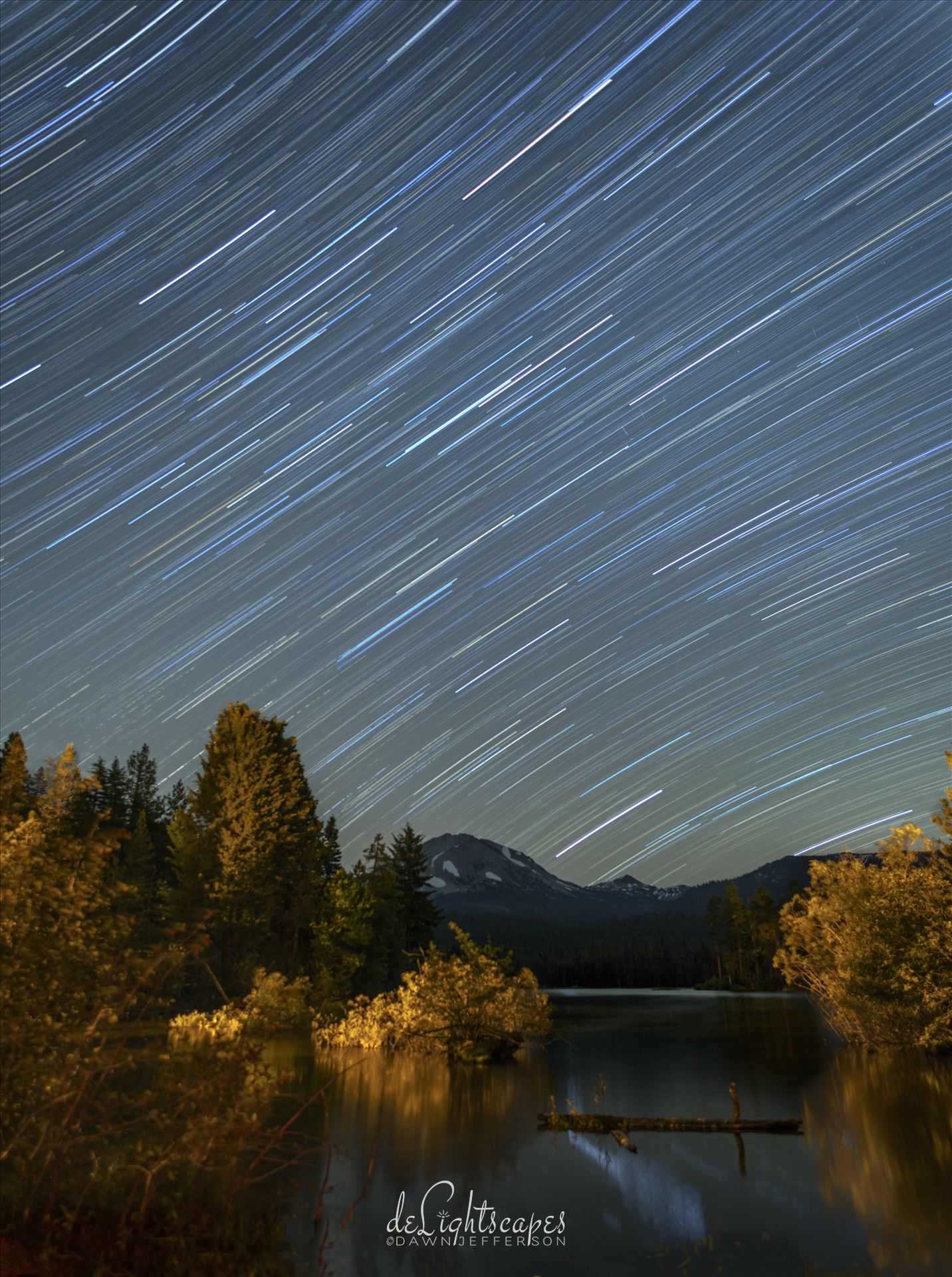 Star Trails in the Summer Sky -  by Dawn Jefferson