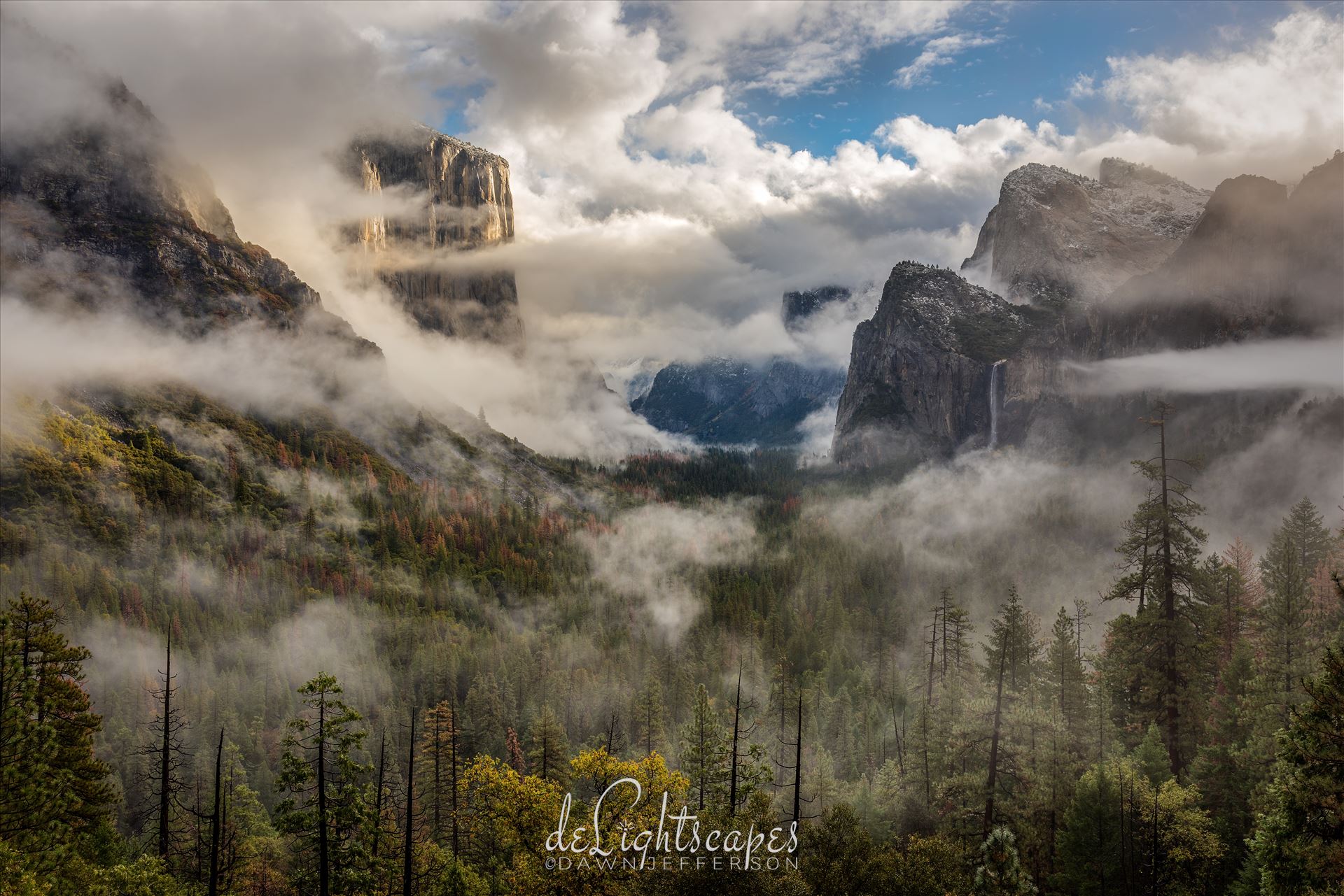 Clearing Storm Yosemite -  by Dawn Jefferson