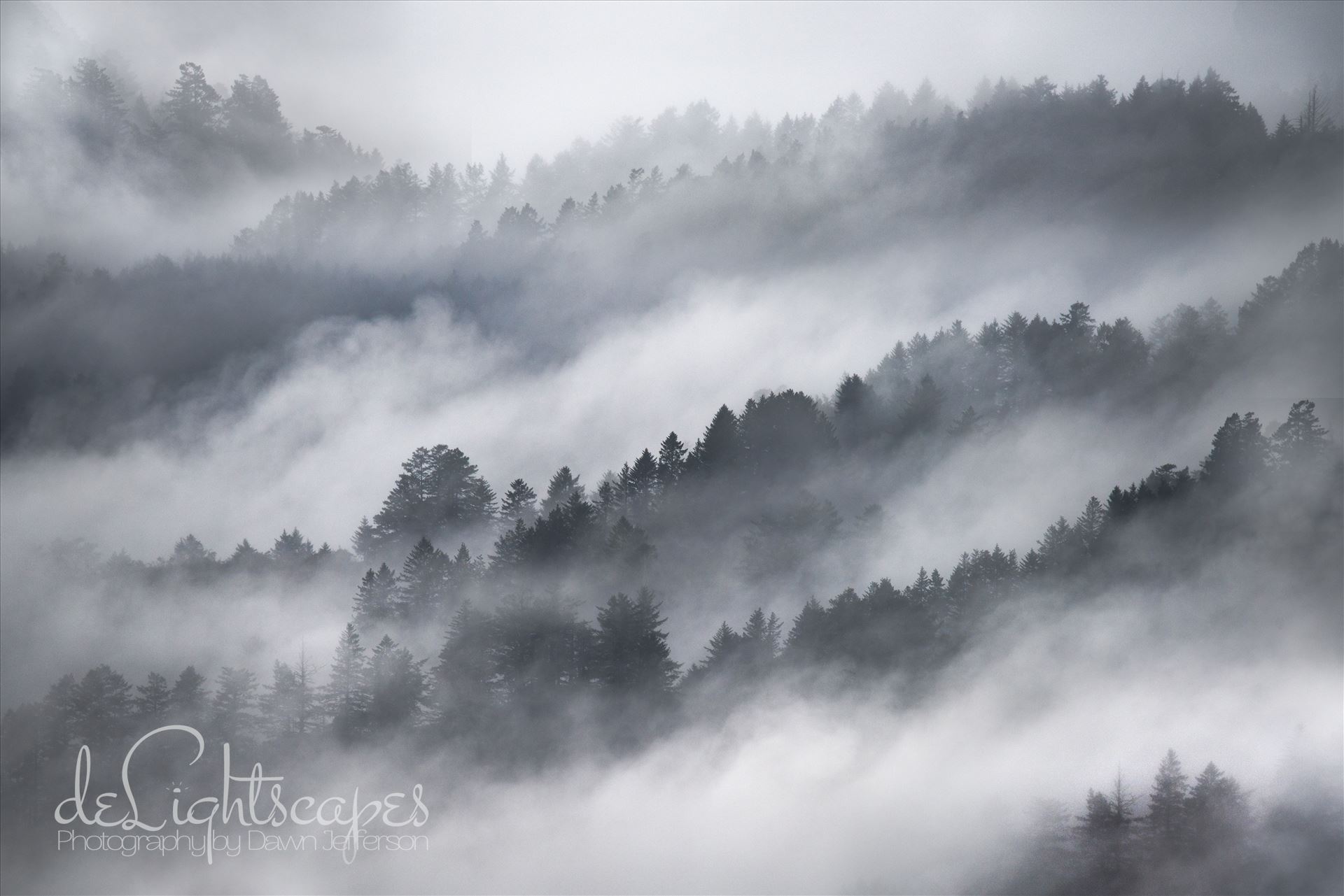 Misty Mountains -  by Dawn Jefferson