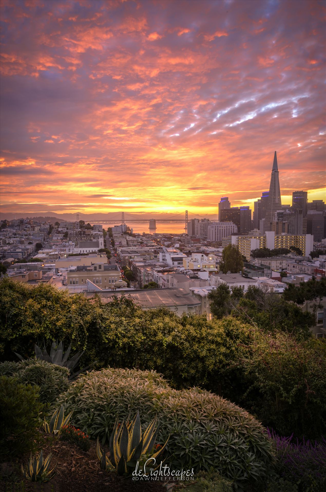 Sunrise at the Park - Beautiful sunrise over looking San Francisco. by Dawn Jefferson