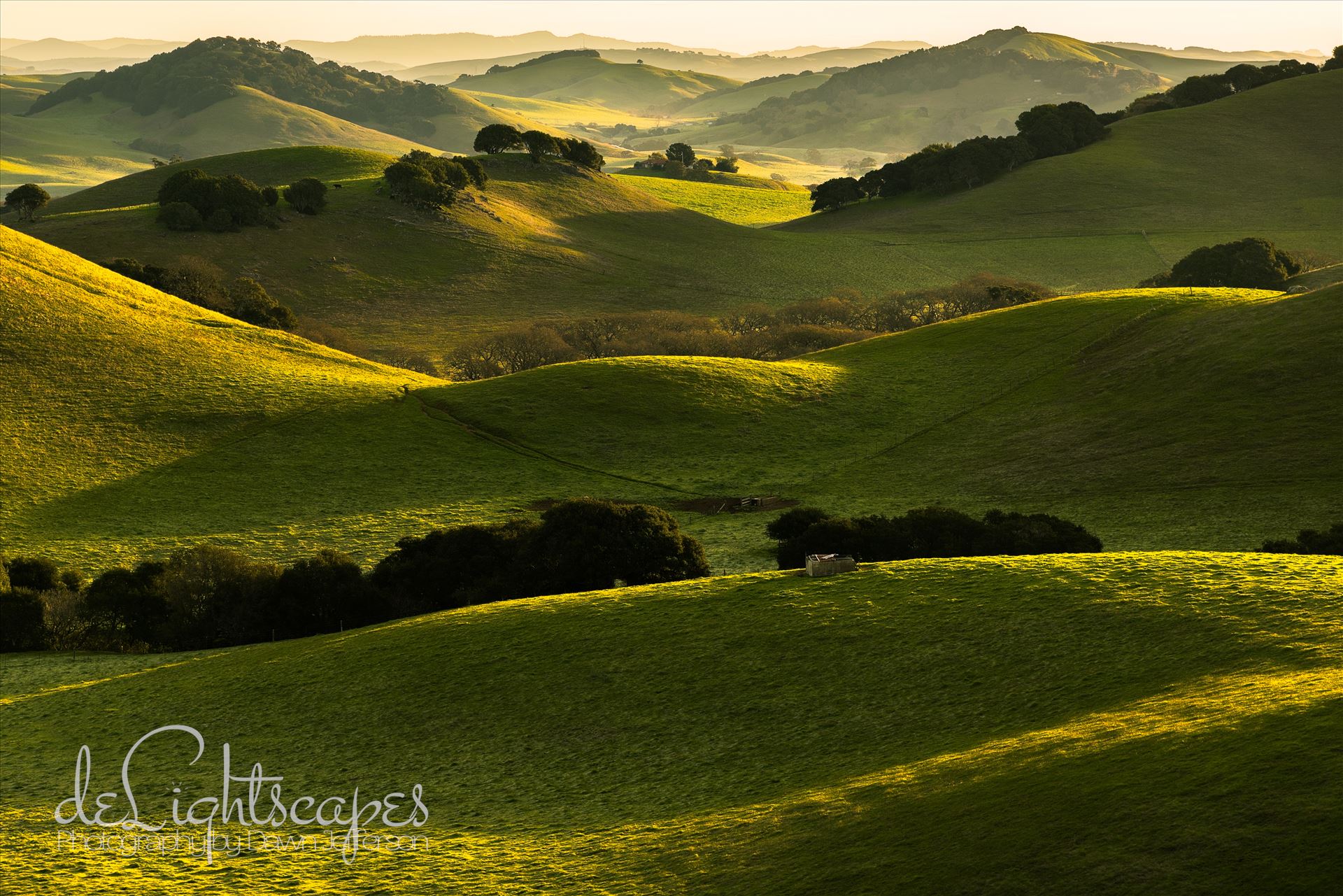 Morning Glow -  by Dawn Jefferson