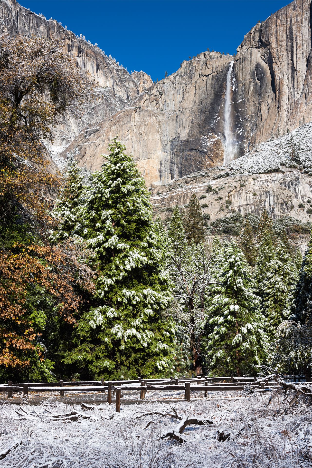 Yosemite Falls in Winter -  by Dawn Jefferson