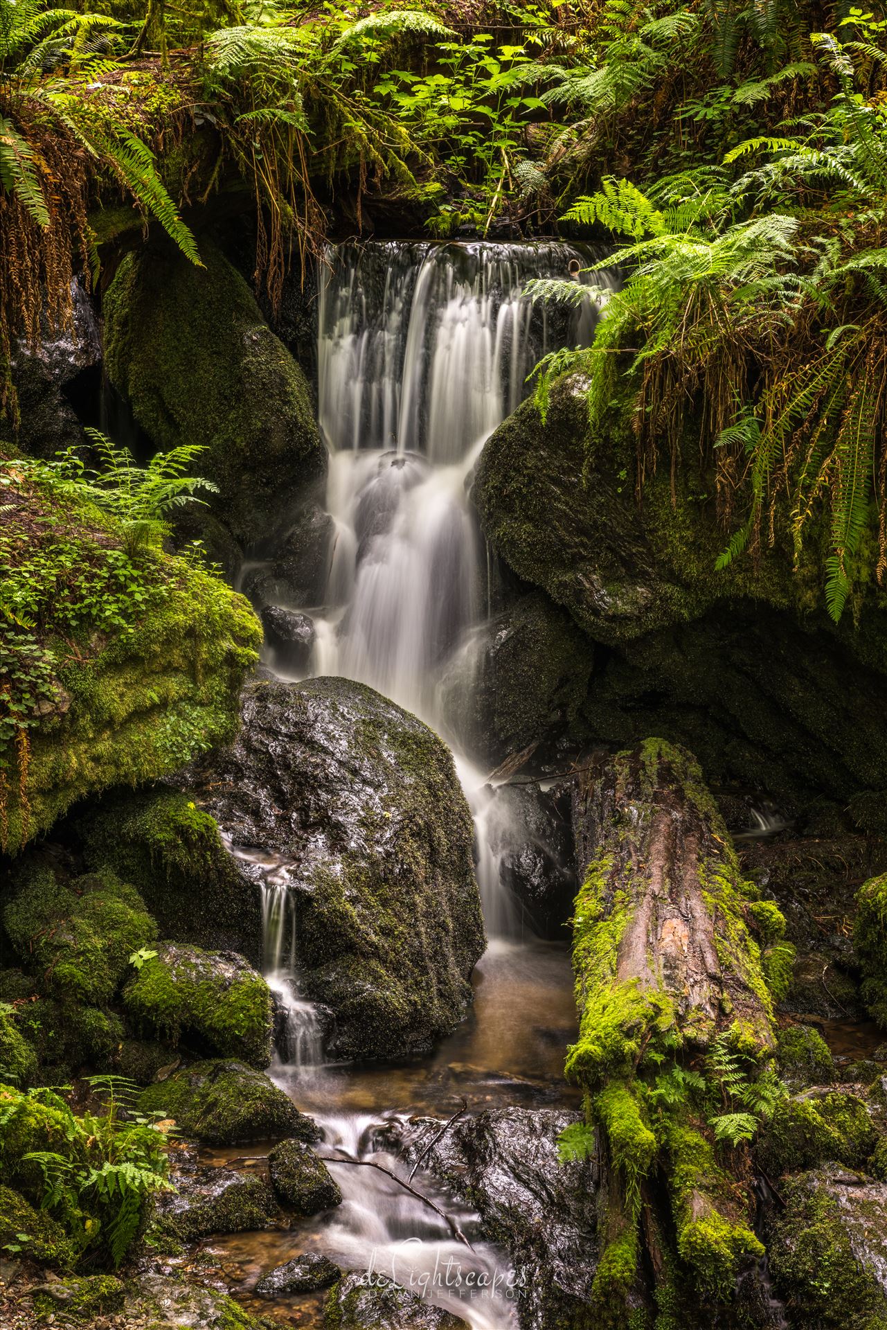 Trillium Falls -  by Dawn Jefferson