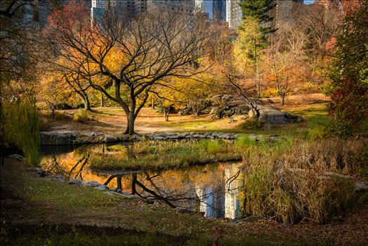 Preview of Central Park Autumn Reflections