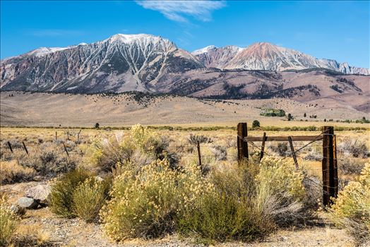 Eastern Sierra Scene - 