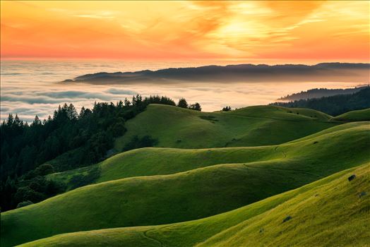 Spring Mountain Sunset - High above the fog and ocean.