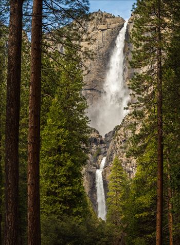 Yosemite Falls - Yosemite Falls in Yosemite National Park.