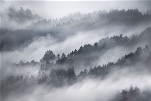 Misty Mountains - 