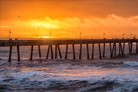 Orange:The Pier - 