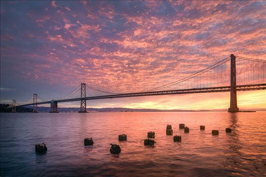 Cotton Candy Sunrise - A gorgeous pink sunrise at the San Francisco Bay Bridge