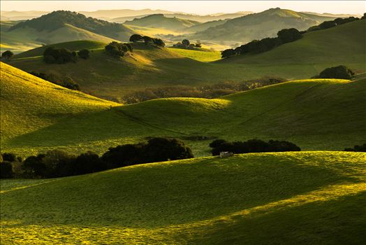 Mountains and Hills - The mountains and hills will burst into song before you, and all the trees of the field will clap their hands. 
Isaiah 55:12