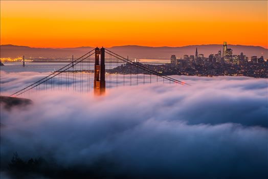 Above It All - Quintessential San Francisco