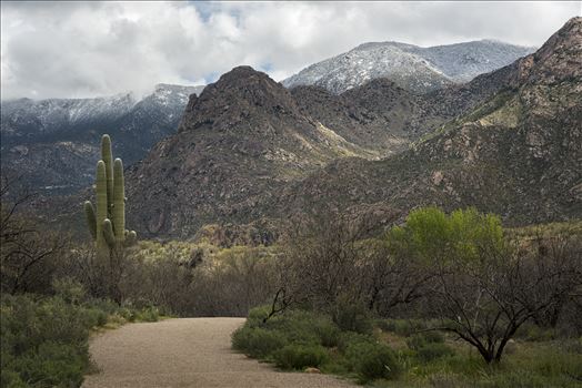 The Southwest - 