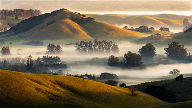 Valley Fog - 